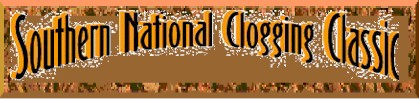logo2.jpg (24352 bytes)